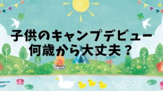 19年最新 ディズニーのレジスター使用感 ネットの口コミまとめ ほのきちの育児ブログ