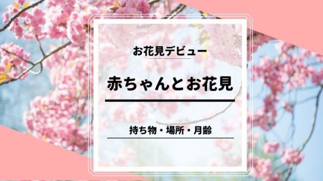 1歳未満 赤ちゃんは車の長距離移動いつから行ける 移動中の注意点まとめ ほのきちの育児ブログ